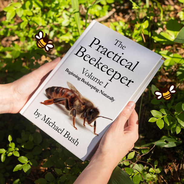 Beekeeping Books to Buzz About