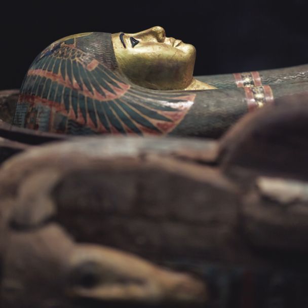 A Beginner’s Guide to Egyptology: Top Books on Ancient Egypt