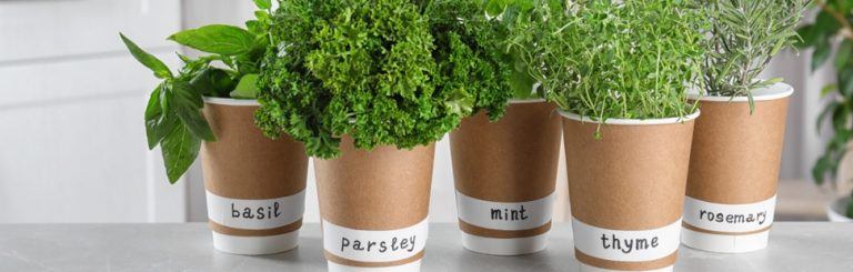 WeBuyBooks | 32 Ways to Use Less Paper & Help the Environment