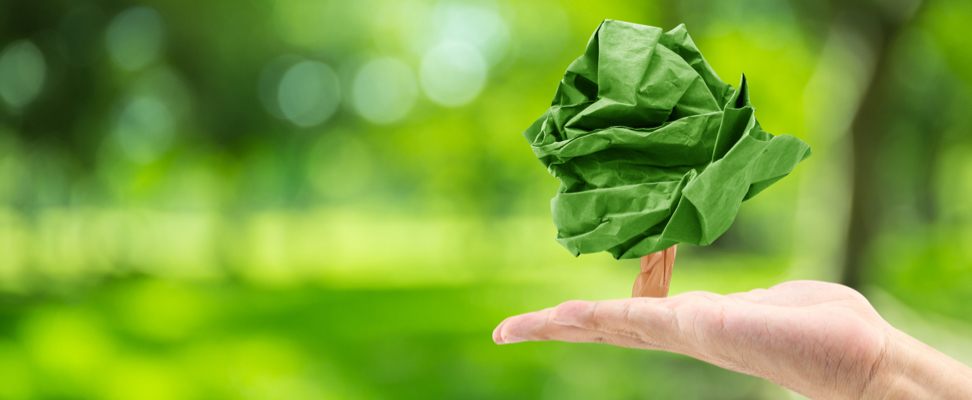 4 Benefits of Saving Paper: Should You Go Greener?