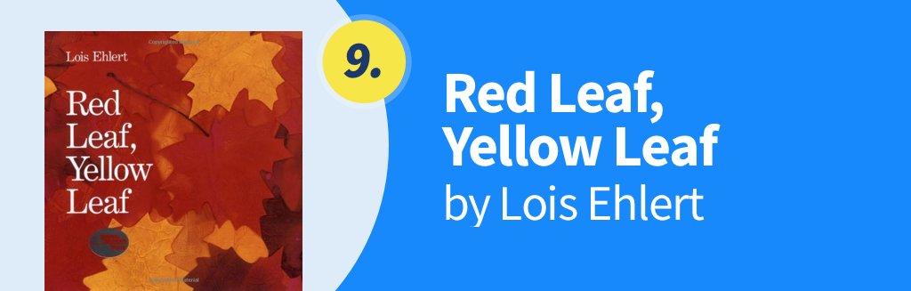 9. Red Leaf, Yellow Leaf - by Lois Ehlert